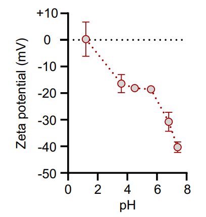 纳米颗粒：定义、团聚/分散机制及表征策略