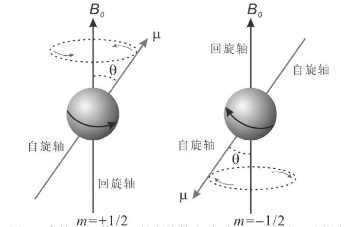核磁共振波谱 NMR 的知识你了解多少？