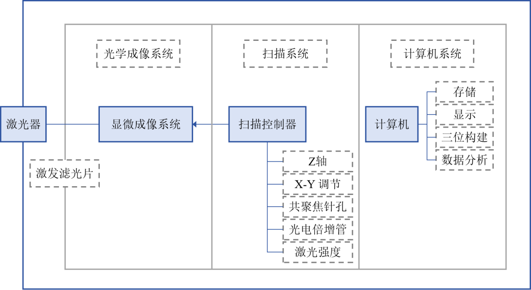 激光共聚焦显微镜（一）结构及成像原理