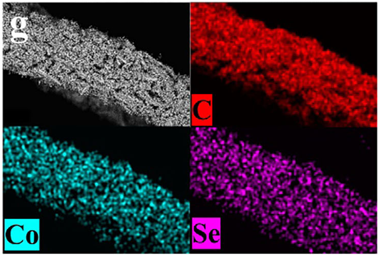 五种电子显微表征技术（SEM, TEM, ESEM, EDS, EBSD）的原理与应用对比