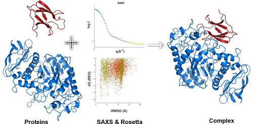 解析蛋白质结构的三大技术