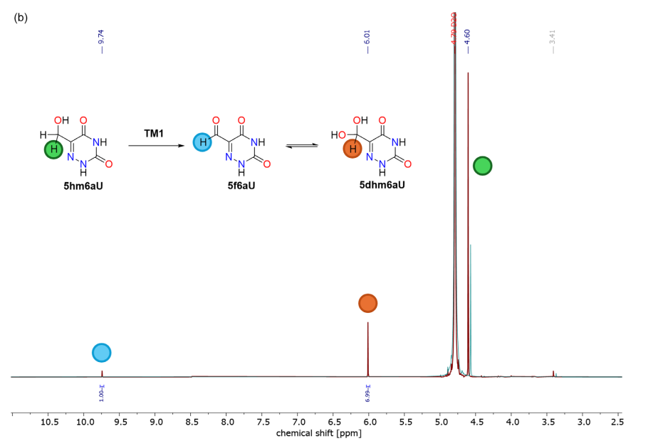 如何判断化学键断裂？多尺度表征与理论计算的联合策略
