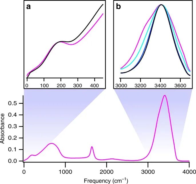 理解反应机理的关键：氢键网络的协同效应与研究前沿