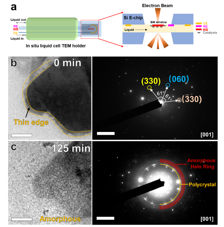 透射电子显微镜(TEM)：微观结构、成分与性能的全方位分析工具