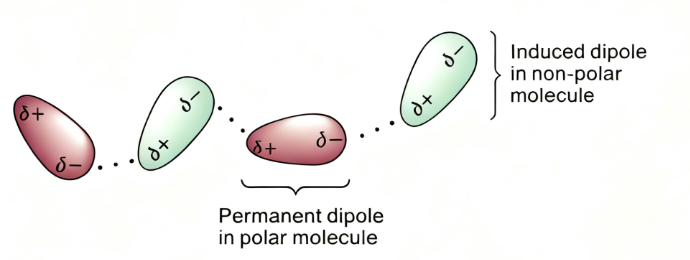 极性与极化有何不同？从分子键极性到多物理场电学行为的底层逻辑