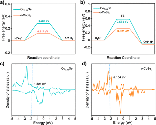 一文读懂d带中心：上移与下移的深层原因及精准调控策略