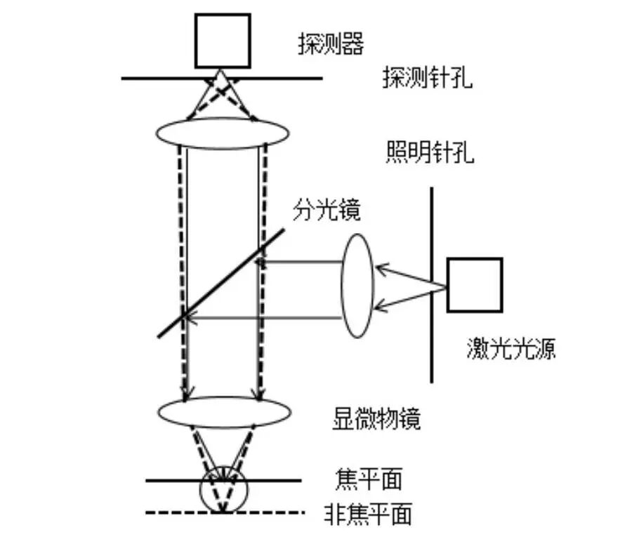 激光共聚焦显微镜（一）结构及成像原理
