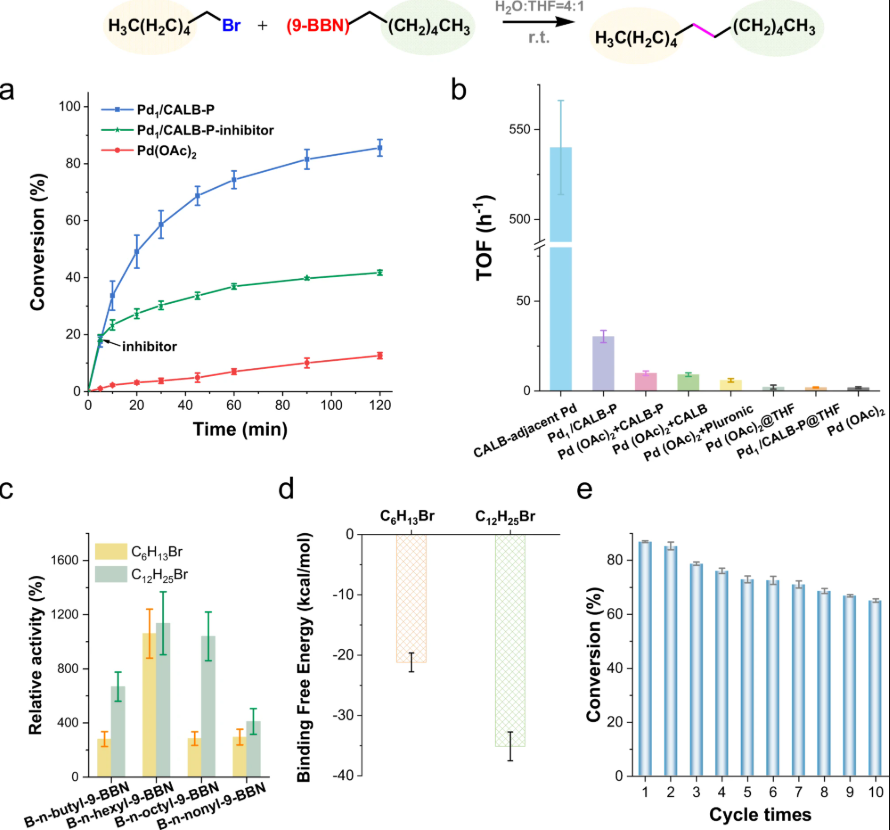 协同催化入门必读：定义、分类及电子调控实战