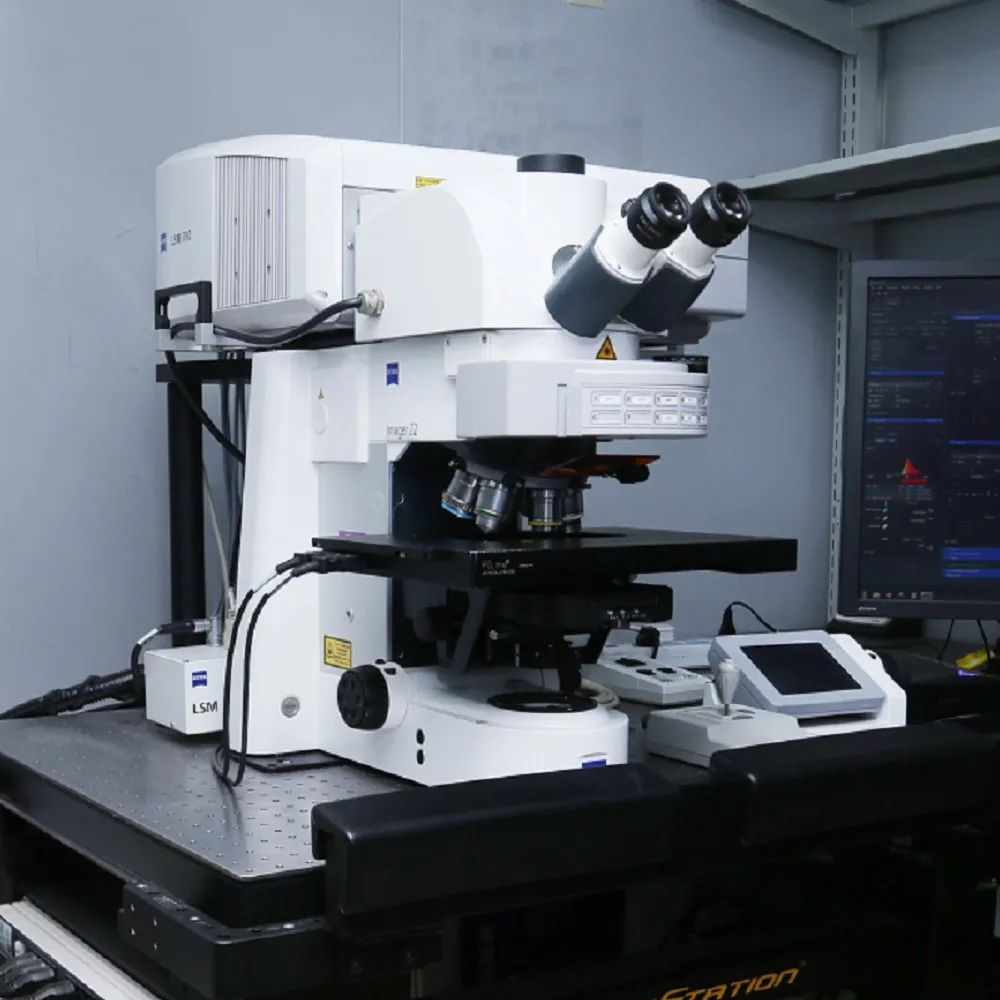 激光共聚焦显微镜（一）结构及成像原理