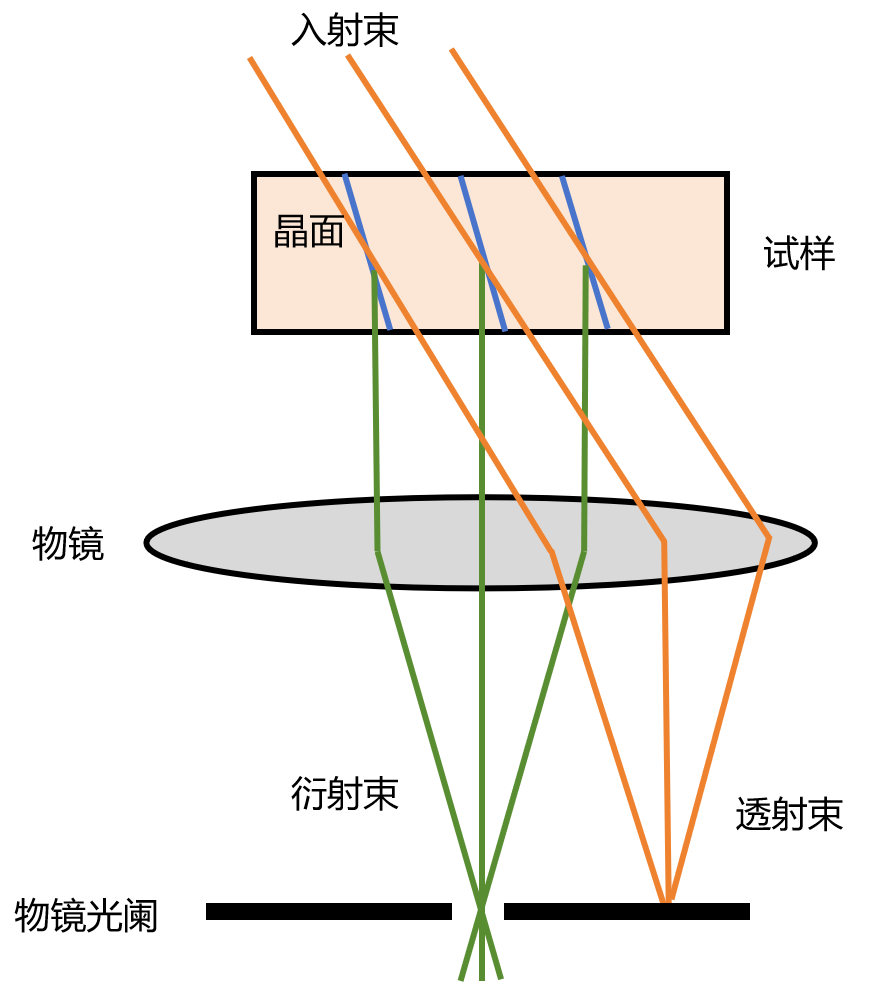 小课堂 | 常做的透射电镜你了解吗？(二）