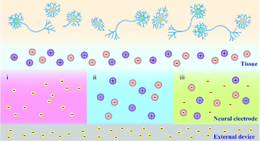 什么是电荷转移？