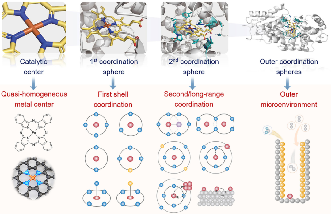 配位数：变大还是变小？关键影响因素全解析
