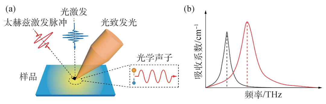 什么是声子？定义、量子化、色散关系及调控前沿