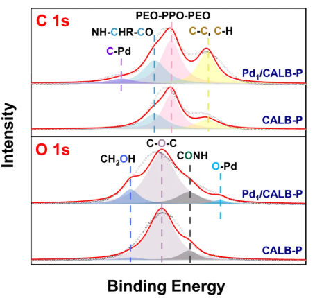 协同催化入门必读：定义、分类及电子调控实战