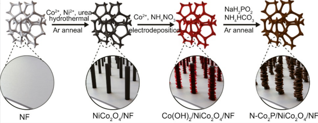 如何表征掺杂？多尺度表征技术（XPS/DFT/XAFS/TEM等）与电催化剂性能调控原则