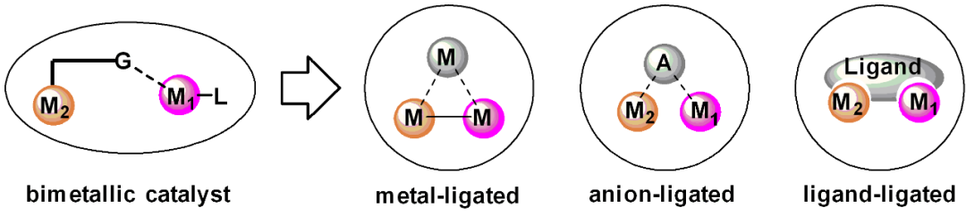 配位数与配体数：概念辨析、核心区别及协同应用