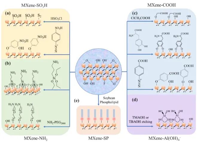 不同表面官能团（-OH/-O/-F）MXene的制备与功能化应用