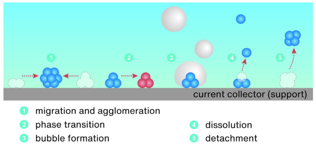 揭示电催化剂中毒：从原子层面机理到性能衰退的量化与前沿表征