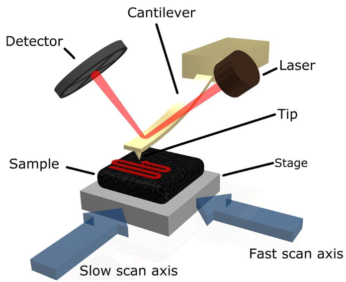 从原理到实战：原子力显微镜（AFM）工作机制及其在多领域的强大应用