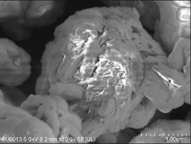 别让荷电效应毁了电镜图！非金属/高分子样品的救场指南