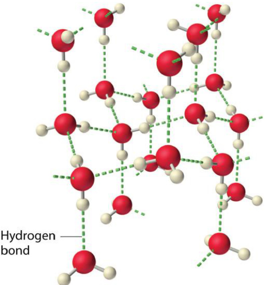 氢键如何影响化学性质？基于热力学稳定性与动力学活性的综合分析