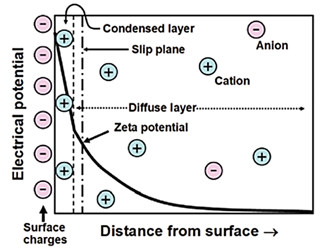 Zeta 电位：揭秘颗粒表面电荷的“隐形密码”