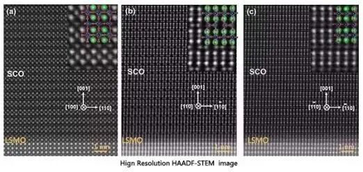 小课堂 | 常做的透射电镜你了解吗？(三）