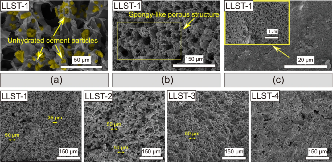 SEM 成像与成分分析全解析：二次电子 (SE)、背散射电子 (BSE) 及 EDS 技术详解