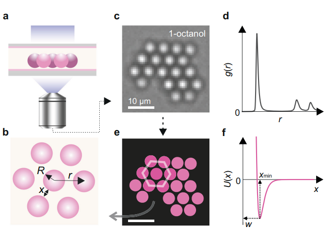 纳米颗粒：定义、团聚/分散机制及表征策略