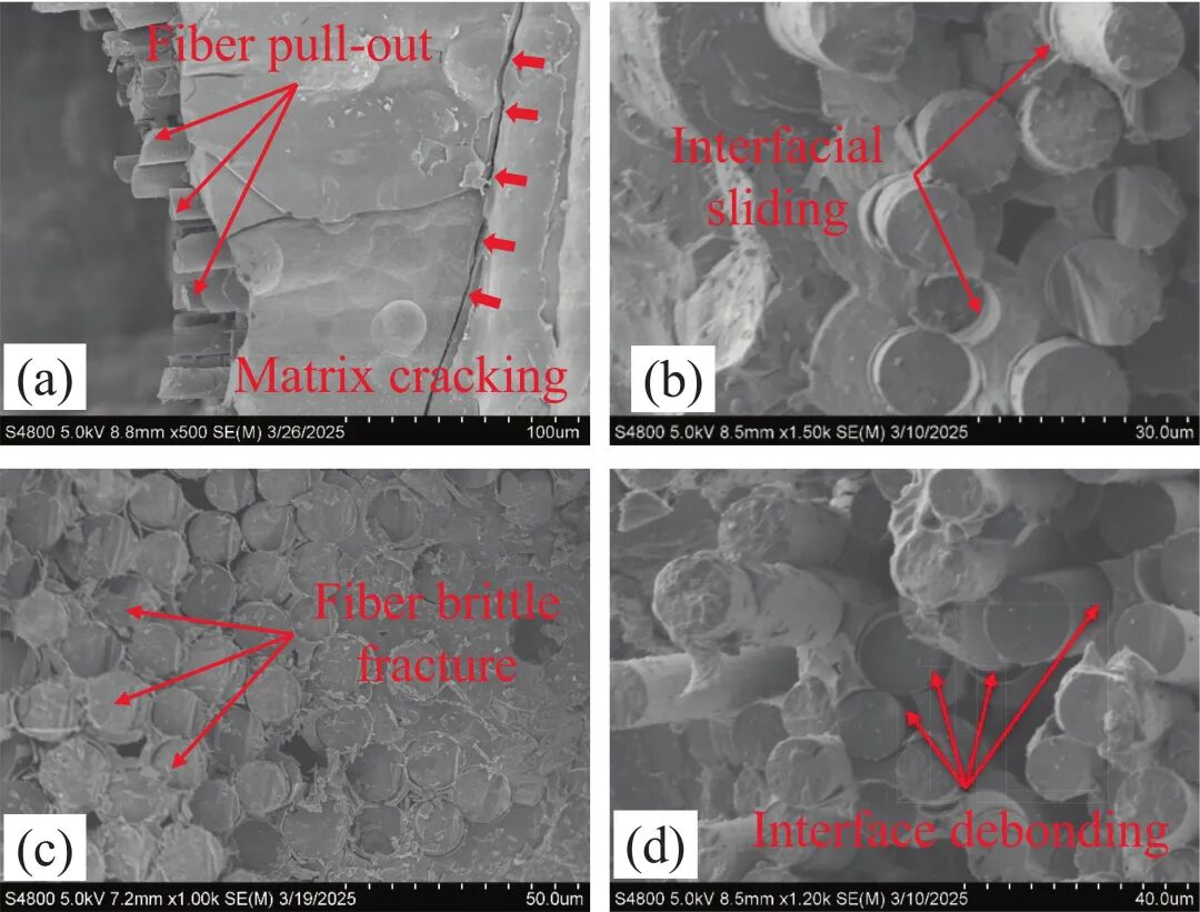 五种电子显微表征技术（SEM, TEM, ESEM, EDS, EBSD）的原理与应用对比
