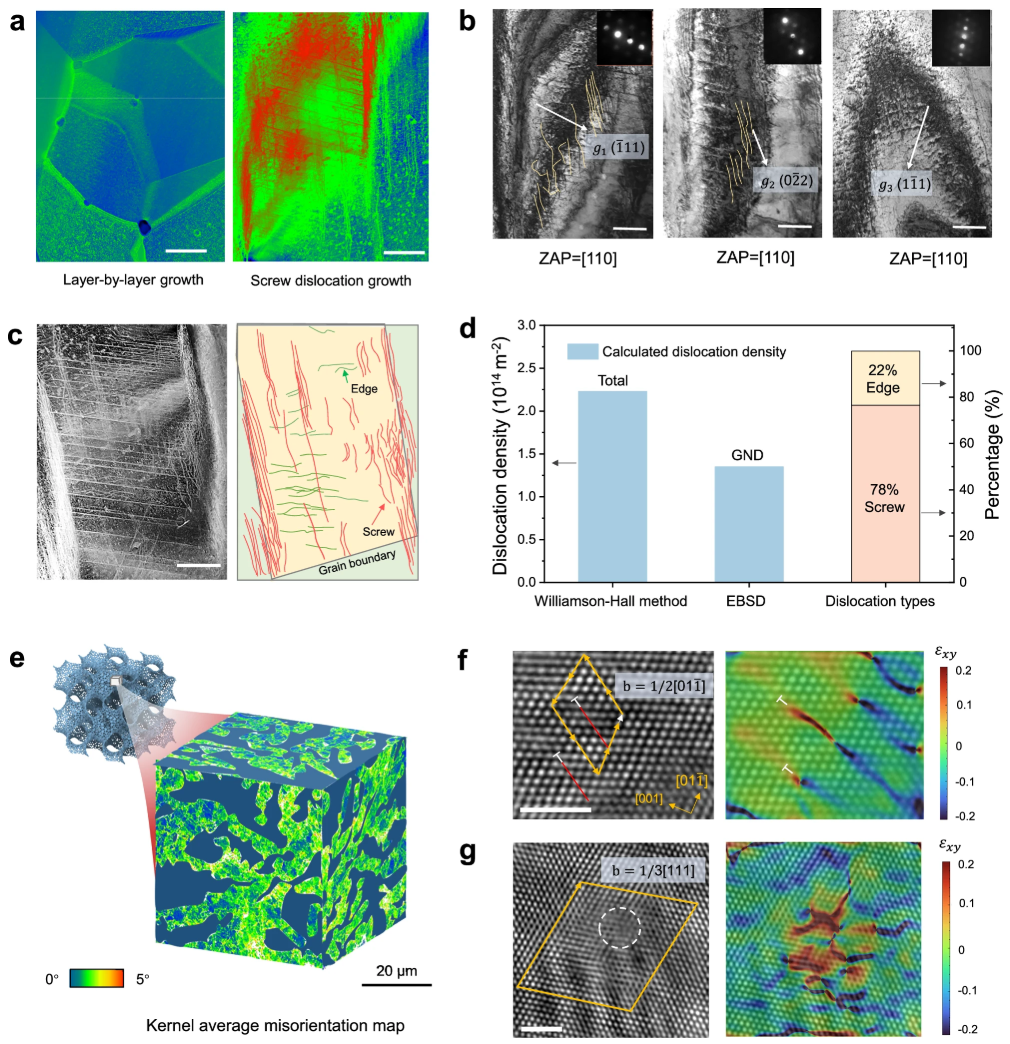 材料表面缺陷谱系与成因探析：多模态表征技术的原理与应用对比