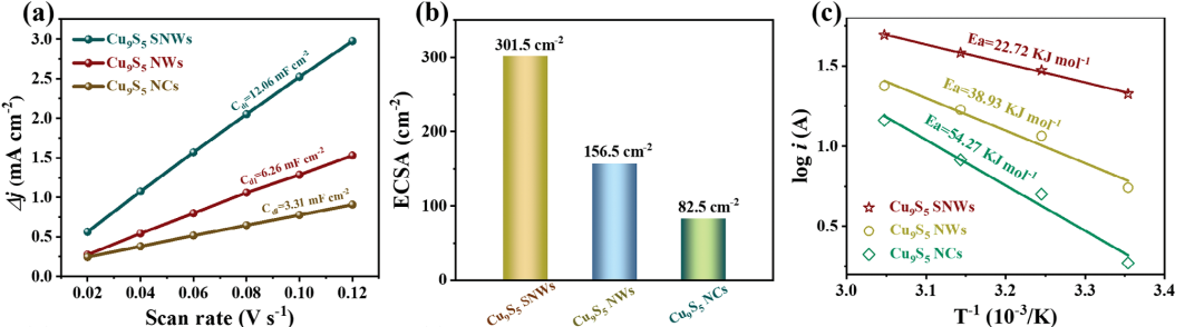 活性位点：定义、公式与表征方法全解析
