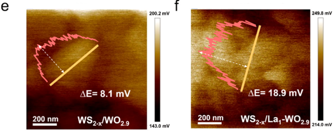 内建电场赋能多反应体系：形成机制、表征方法及应用解析
