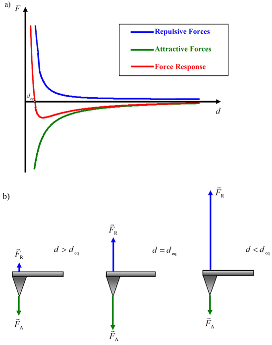 从原理到实战：原子力显微镜（AFM）工作机制及其在多领域的强大应用
