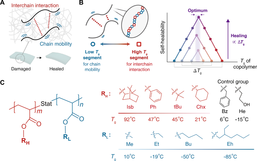 什么是“玻璃化转变温度”？定义、转变机制、与熔点的本质区别及材料设计的关键作用