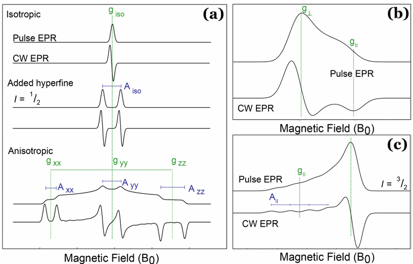 从原理到实操：一文读懂 EPR（电子顺磁共振）的核心逻辑与谱图解读技巧