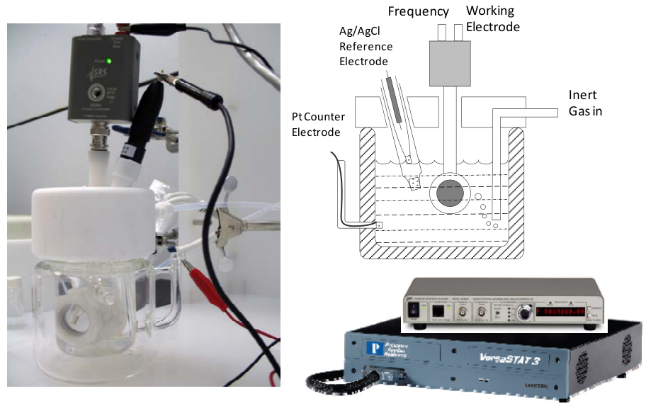 揭示电催化剂中毒：从原子层面机理到性能衰退的量化与前沿表征