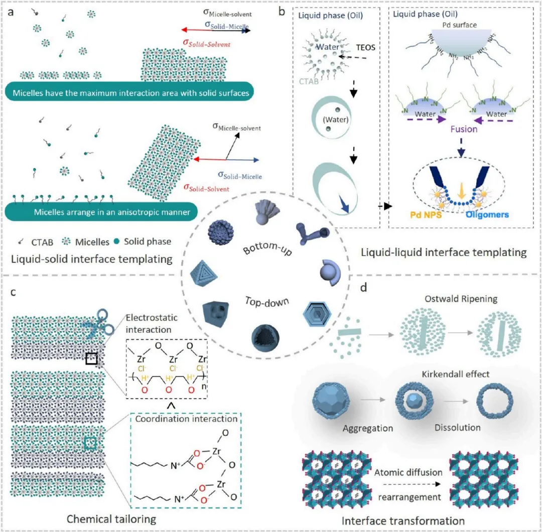 奥斯瓦尔德熟化：定义、吉布斯-汤姆逊方程与液/固/液/气四类体系的影响机制
