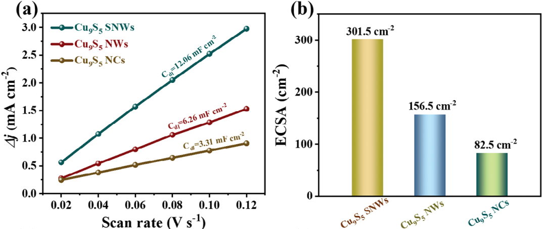 活性位点：定义、公式与表征方法全解析