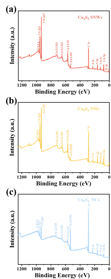 电催化材料 XPS 分析指南：从原理实操到案例误区解析
