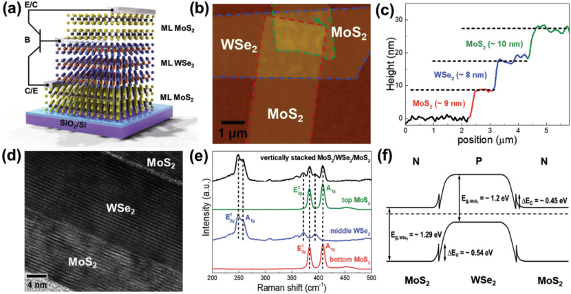 异质结完全指南：定义、分类、机理、表征与应用全景
