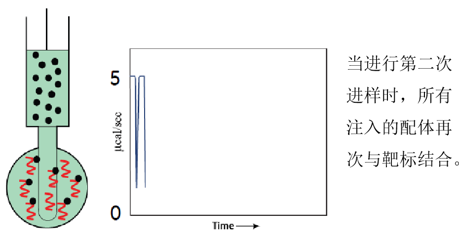 等温滴定量热法（ITC）：探究分子间相互作用