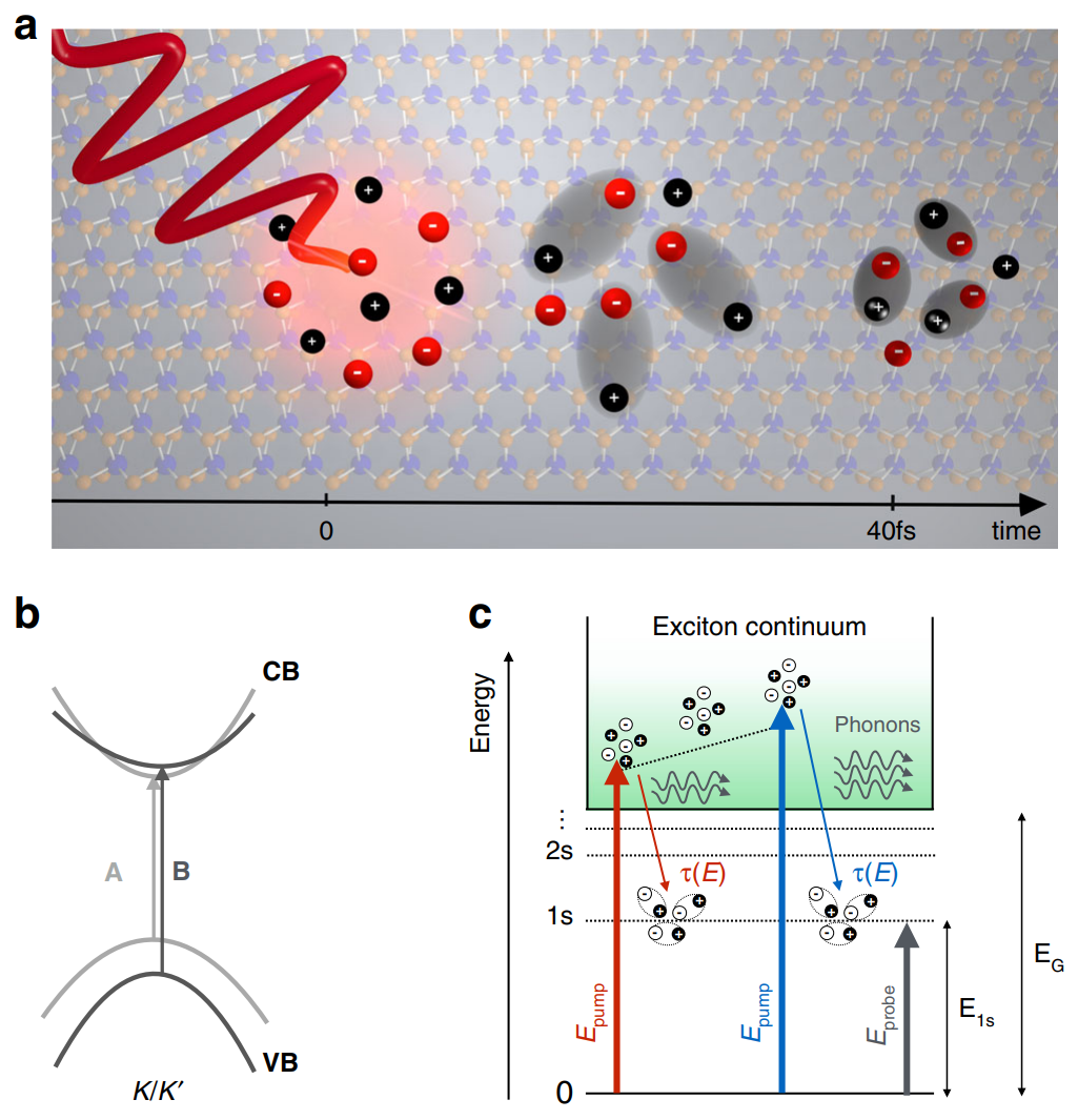 载流子基础理论与应用：类型、关键参数及调控表征方法