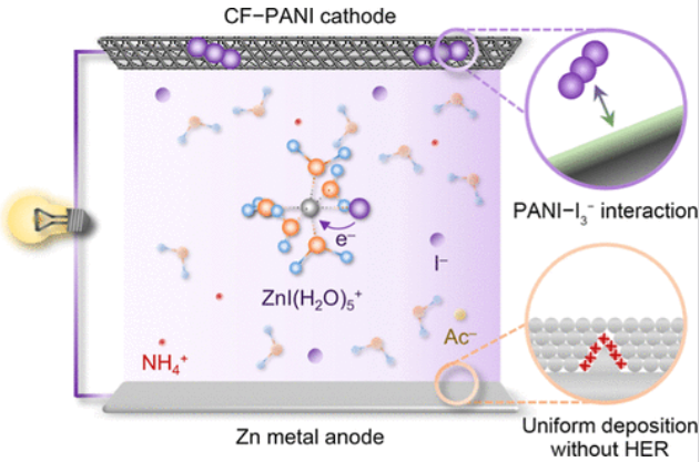 阳离子效应的系统解析：定义分类、多维作用机制及其对反应活性与选择性的分子调控