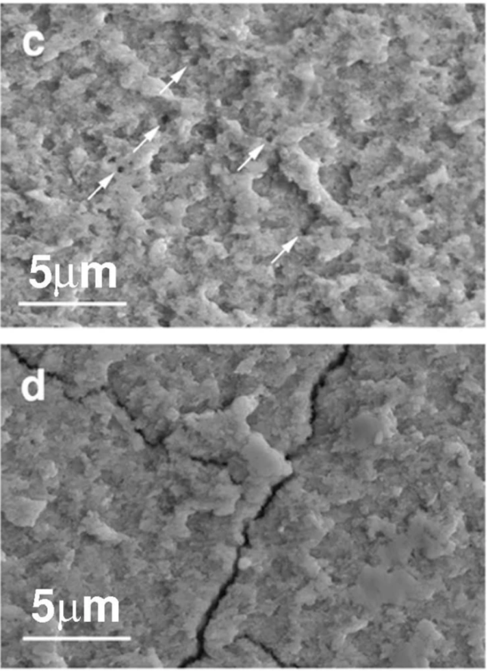 SEM 成像与成分分析全解析：二次电子 (SE)、背散射电子 (BSE) 及 EDS 技术详解