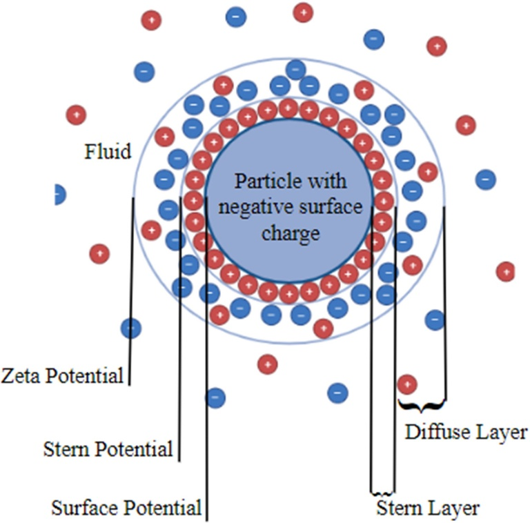 Zeta电位：表征颗粒表面电荷的关键指标与测量方法详解