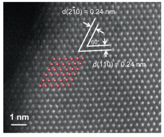 什么是活性位点？
