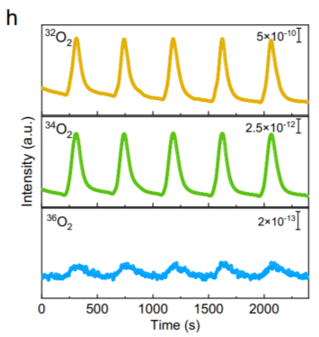 什么是晶格氧？定义、重要性及多元表征方法（EPR/¹⁸O-DEMS 等）梳理