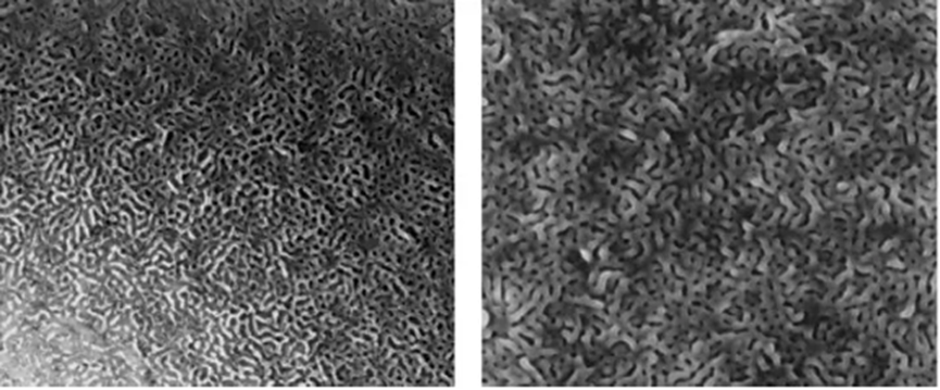别让荷电效应毁了电镜图！非金属/高分子样品的救场指南