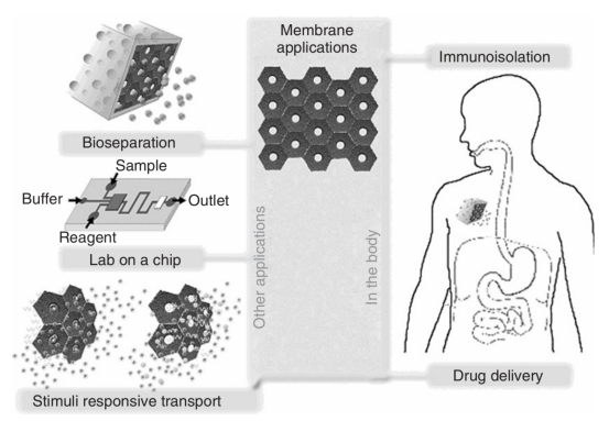 孔道限域效应：定义、核心机制及多领域应用实践